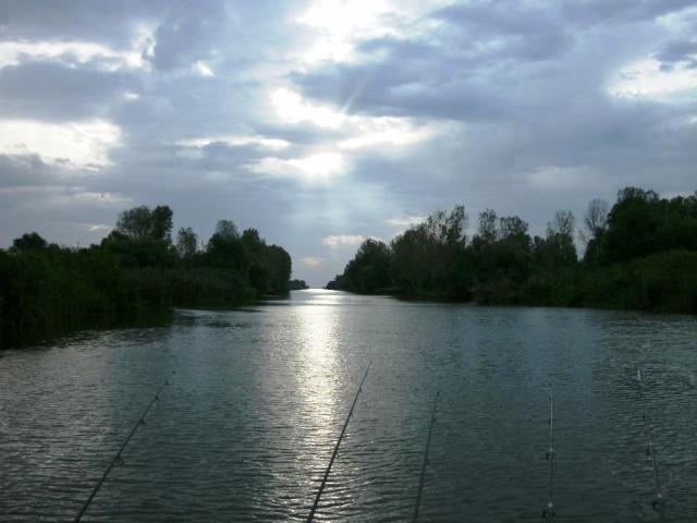 delta rosu 2012 - 395318.jpg